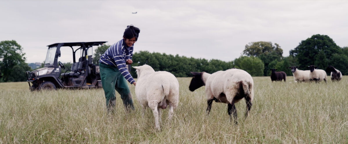 Exclusive Southend Film Festival Interview With ‘From Thailand to Tenbury: Showing Sheep in the Shires’ Director Simon Frith Exclusive Southend Film Festival Interview With ‘From Thailand to Tenbury: Showing Sheep in the Shires’ Director Simon Frith