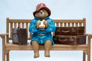 Paddington’s Next Adventure: The Famous Bear Could Be in Your Town Next