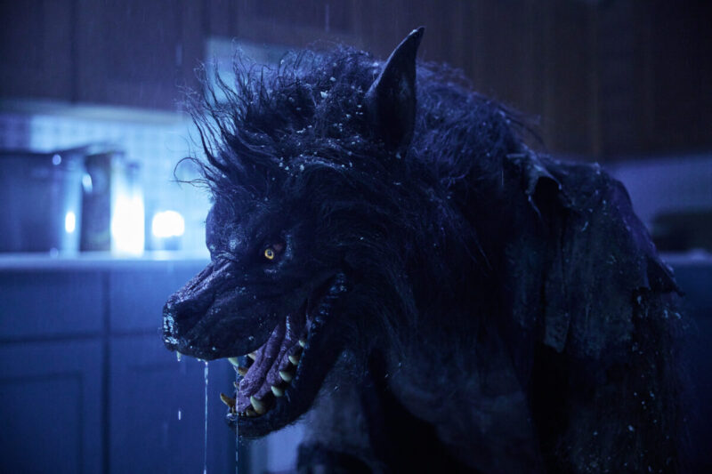 Werewolf in Werewolves