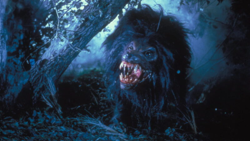 Howling IV