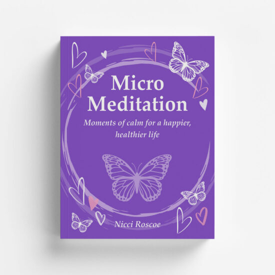 Micro Meditations (Cover Art)