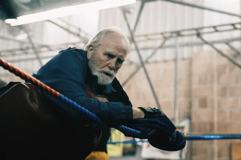 James Cosmo in Salvable