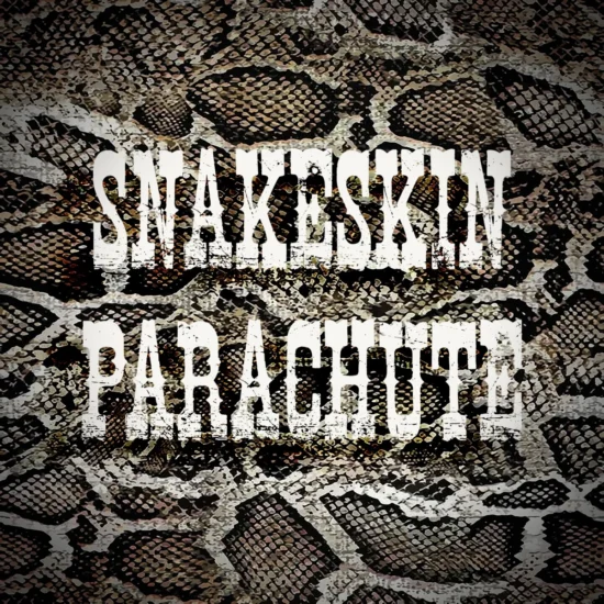 Luke Morley - Snakeskin Parachute - Artwork