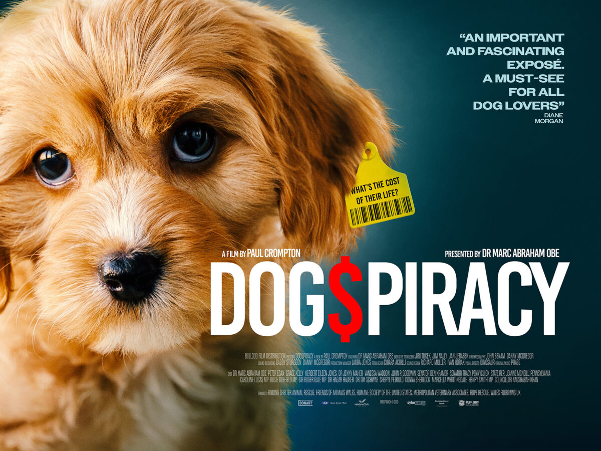 Dogspiracy Coming to UK cinemas from 1st August Dogspiracy Coming to UK cinemas from 1st August
