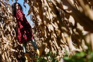 Exclusive Dead and Sudburied Interview With ‘The Rows’ Writer-Director Seth Daly