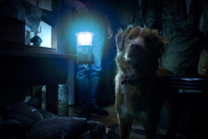Review – Good Boy: Cineworld Secret Screaming 10
