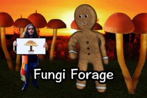 Exclusive Southend Film Festival interview with ‘Fungi Forage’ Directors Cy Henty and Molly Brown